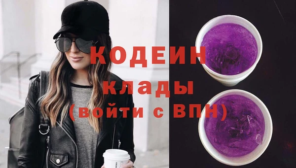 крисы Козельск