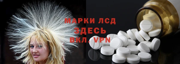 крисы Козельск