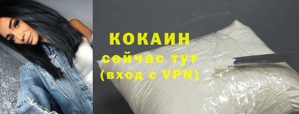 крисы Козельск