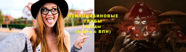 крисы Козельск