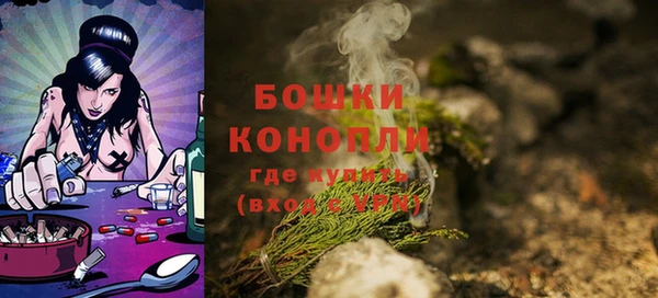гидра Коряжма
