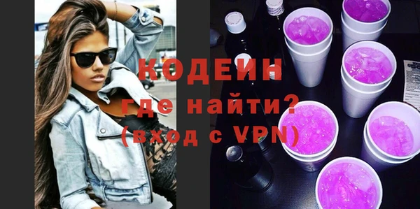 крисы Козельск