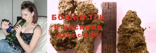 крисы Козельск