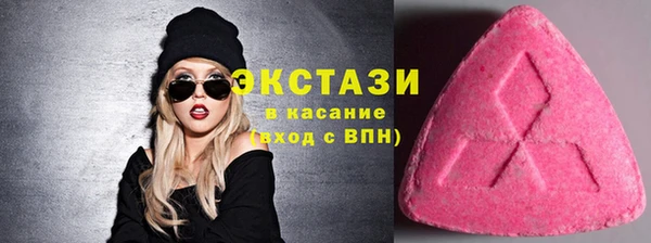крисы Козельск