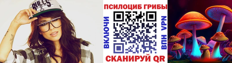 мега рабочий сайт  наркота  Кирово-Чепецк  Галлюциногенные грибы Psilocybe 