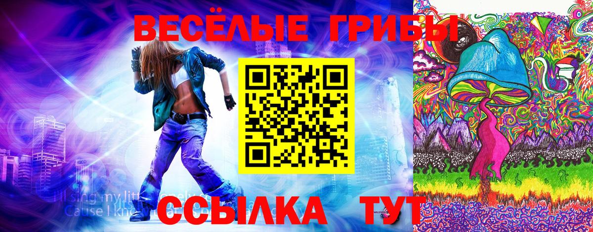 Кирово-Чепецк  Псилоцибиновые грибы Psilocybe  Вход с VPN 